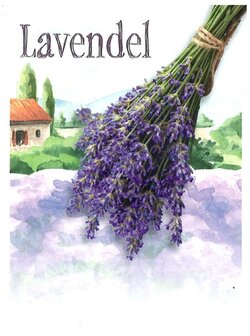 Lavendel