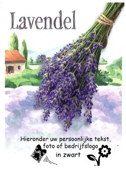 Lavendel